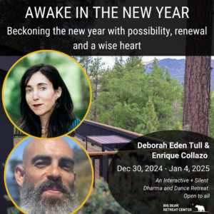 deborah eden tull enrique collazo meditation retreat vipassana new years 2024 dharma zen dance