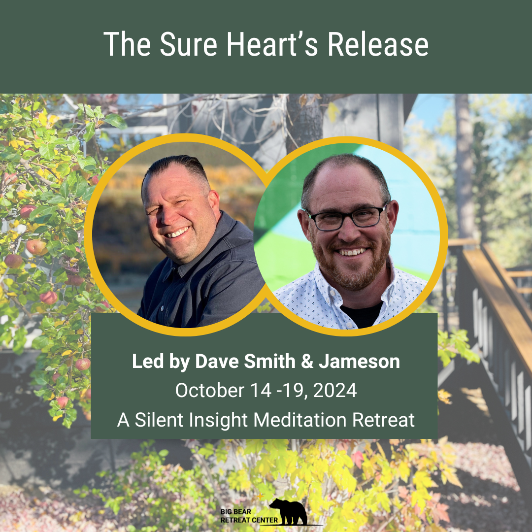 meditation retreat dave smith jameson recovery insight vipassana