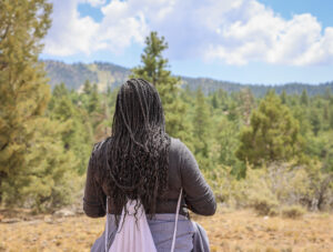 mountain nature view