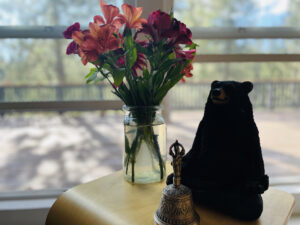 Meditation Bear in Sitting Big Bear Retreat Center