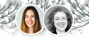 simplicity and stillness meditation retreat with celeste young and devon hase april 2025 california