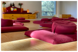 meditation hall cushion retreats vipassana