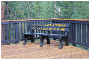 bench you are exactly where you are supposed to be