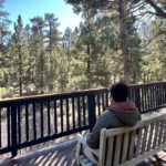 view from deck in nature