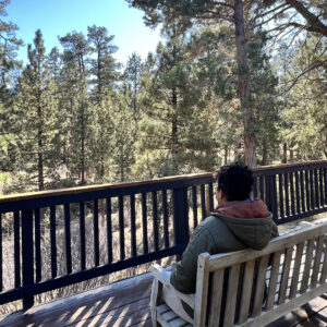 view from deck in nature