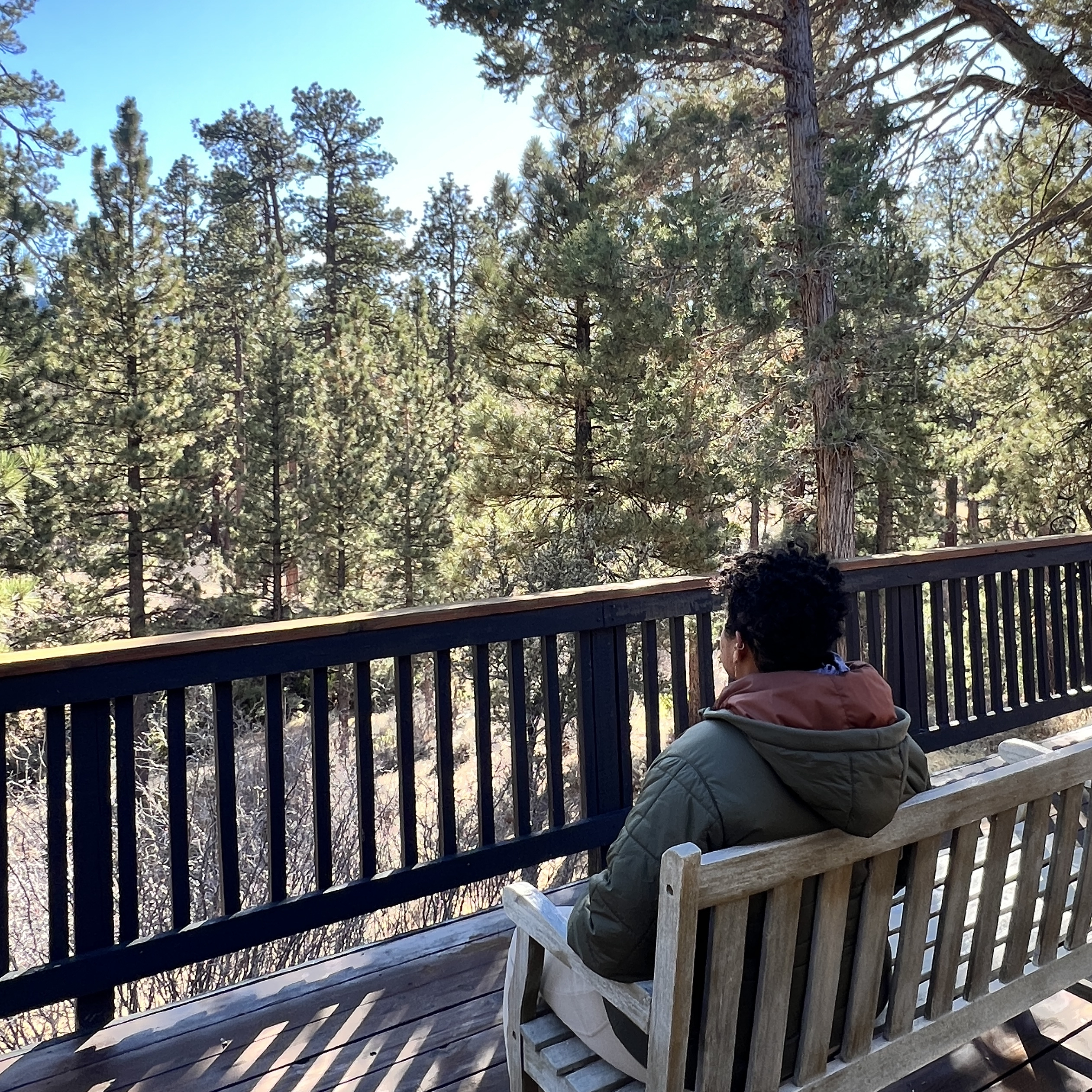 view from deck in nature