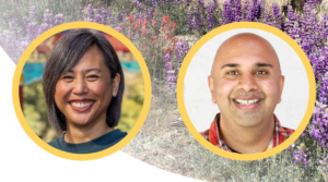 online retreat, dawn mauricio, gullu singh, meditation